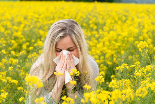 Hay Fever causing lash havoc